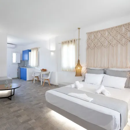 Alexandros Mykonos