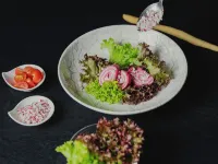 サイレンス＆シュロスホテル ミラベル カステルロットのホテル