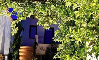 El Patio de Los Jazmines Boutique-House