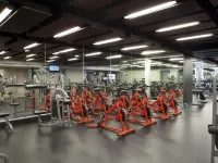 Hilton Mexico City Reforma Hoteles cerca de Museo Franz Meyer