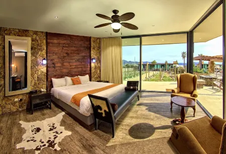 Hotel Boutique Valle de Guadalupe & Spa Отели рядом с достопримечательностью «Adobe Guadalupe Vineyards & Inn Aztec Breeding Farm»