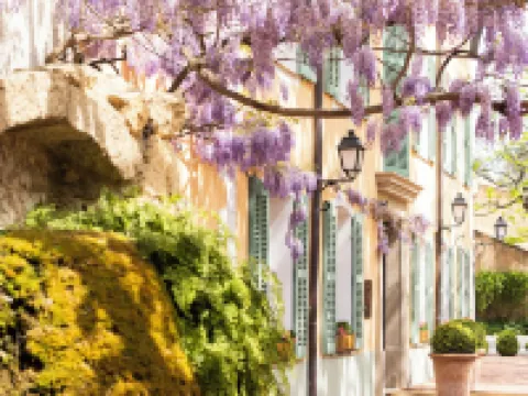 Hostellerie de l'Abbaye de La Celle - Teritoria Hotels in Brignoles