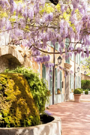 Hostellerie de l'Abbaye de La Celle - Teritoria