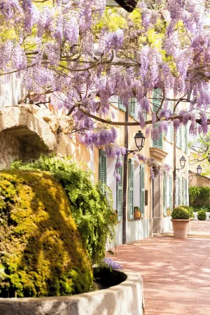Hostellerie de l'Abbaye de La Celle - Teritoria Отели рядом с достопримечательностью «Chapelle Saint Sébastien»