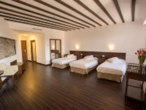 Palacio del Infante Don Juan Manuel Hotel Spa Hotéis em La Mancha