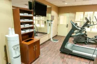 Spark by Hilton Exton - Gym
