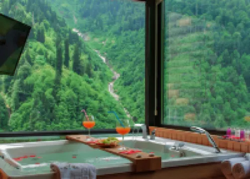Ayder Villa de Pelit Hotel