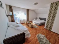 Complex Caprioara Toplita Hotels in Toplița