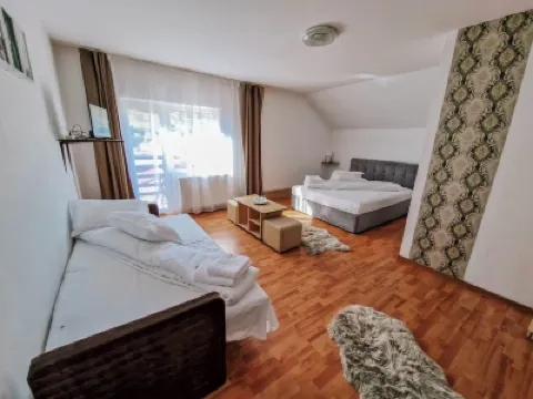 Complex Caprioara Toplita Hotels in 