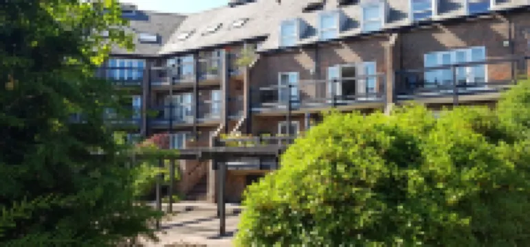 Luxurious & Modern Home Hotels in 