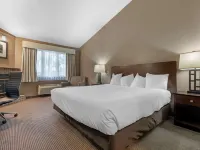 Best Western University Inn Hotels in Town of Ithaca