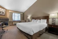 Best Western University Inn