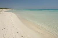 Pajara Rugiada - Wifi