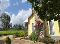 The Jadav Gardens Hôtels à : Limuru Town.
