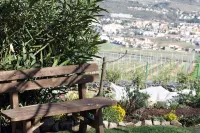 B&B la Betulla