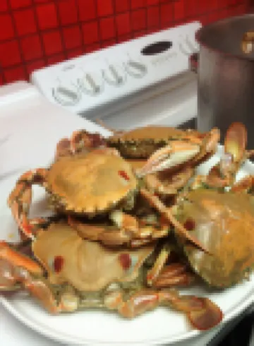 Abel Tasman Waterfront Motel Hotels in Lakes Entrance