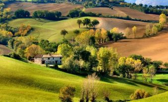Castello Montegiove