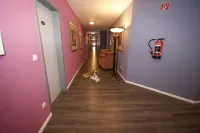 Gästehaus Bavaria - Pension Regensburg - Pension Regensburg - Gästezimmer Regensburg