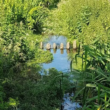 Streamside Apartments