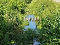 Streamside Apartments