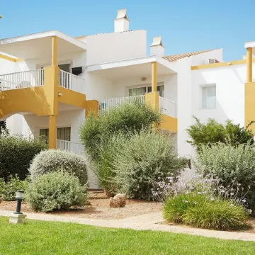 Comitas Isla del Aire