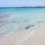 Hotel Micalosu - Ocean View