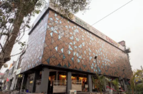 Pink Mango A Boutique Hotel Hotel di Hisar