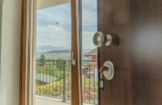 綠色公園瑞萊斯和紅色公園瑞萊斯