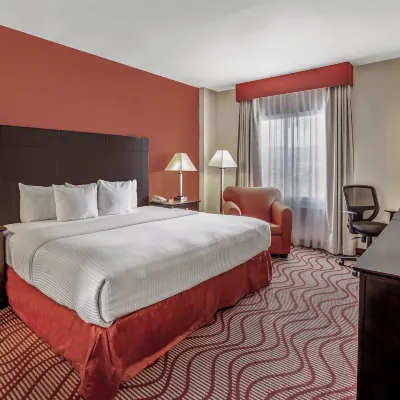 Garden Park Hotel Hotels near El Domo
