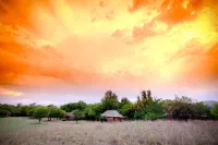 Little Swift Chalets - Разрешено размещения с домашними животными