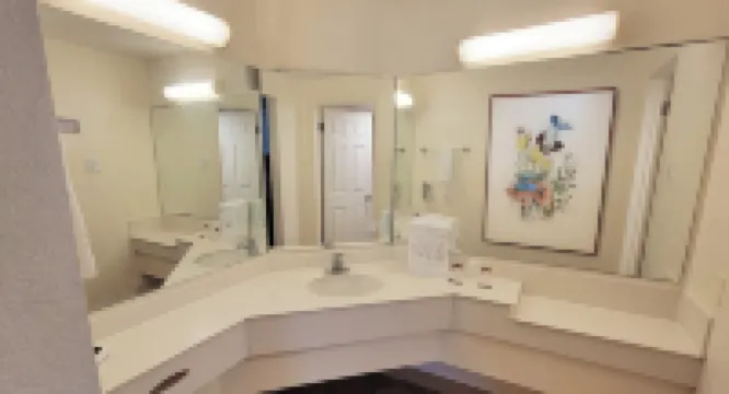 Flex Studios Culebra