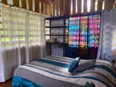 Morning Glory Hotels in 