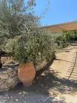 Bellavista at Heraion Lagoon - Villas