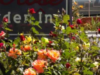 Rose Garden Inn