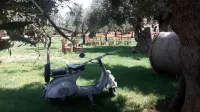 Masseria San Martino -  Holiday Villas