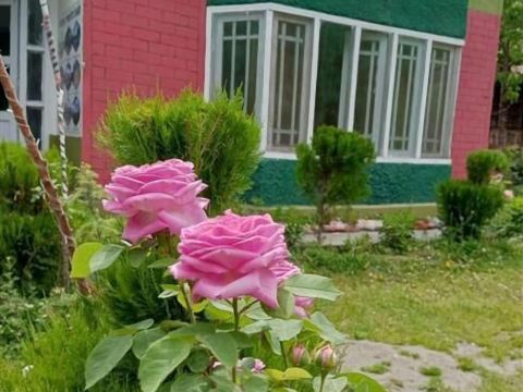 Buddha Rock Guest House
