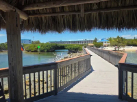 คอนโดในเขียว โรงแรมในTavernier