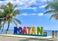 SCUBA, WEDDING, FAMILY &GROUPS up to 10 BDR vacation & dive resort 2mins2Beaches