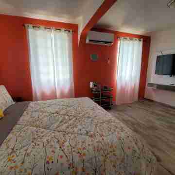 Casa Bird Cage in Fajardo's Paradise, a rainforest like retreat! Rooms