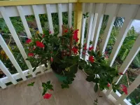 Heavenly Cove Suite - It's your home away from home Hotels in Northside