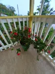 Heavenly Cove Suite - It's your home away from home