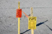 2 bedroom house, minutes to beaches, Atlanta Braves and Tampa Sea Rays stadiums Hotel a Warm Mineral Springs