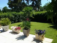 villa in the Luberon Park