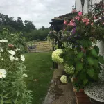 Converted from a old dairy into a beautiful, quaint cottage in The New Forest.