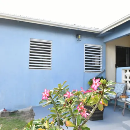 Hidden Gem- Charming Winter Escape to Island Life!