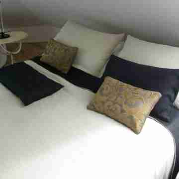 Beautiful Downtown Apartment Rooms