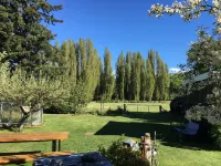Entire house with tranquil garden, cosy and private, by the river