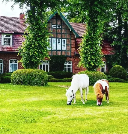 Hotel Hof Kirchhorst Отели рядом с достопримечательностью «CARLS»