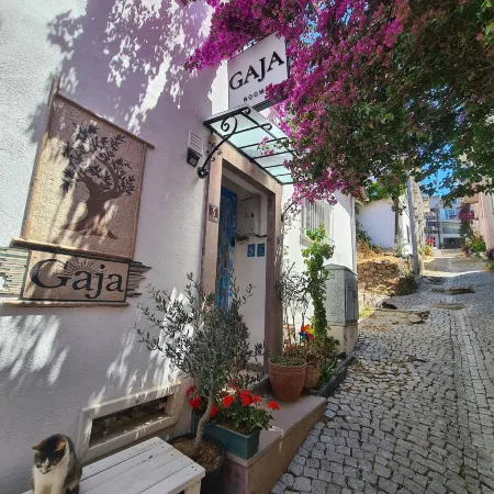 Gaja Ayvalık