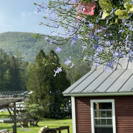 Lareau Farm Inn